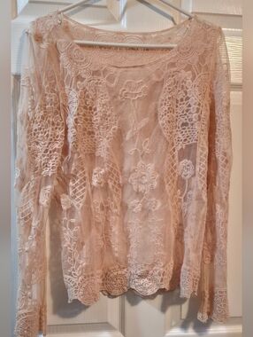 Vintage Lace Sheer Blouse in Blush Pink